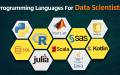 Programming Languages for Data Scientists