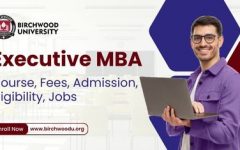 Executive MBA (1)
